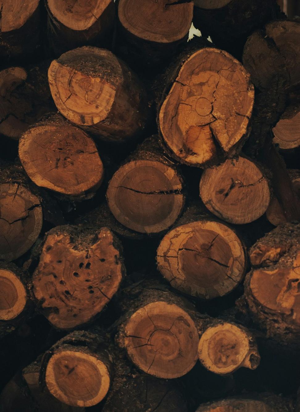 Cork