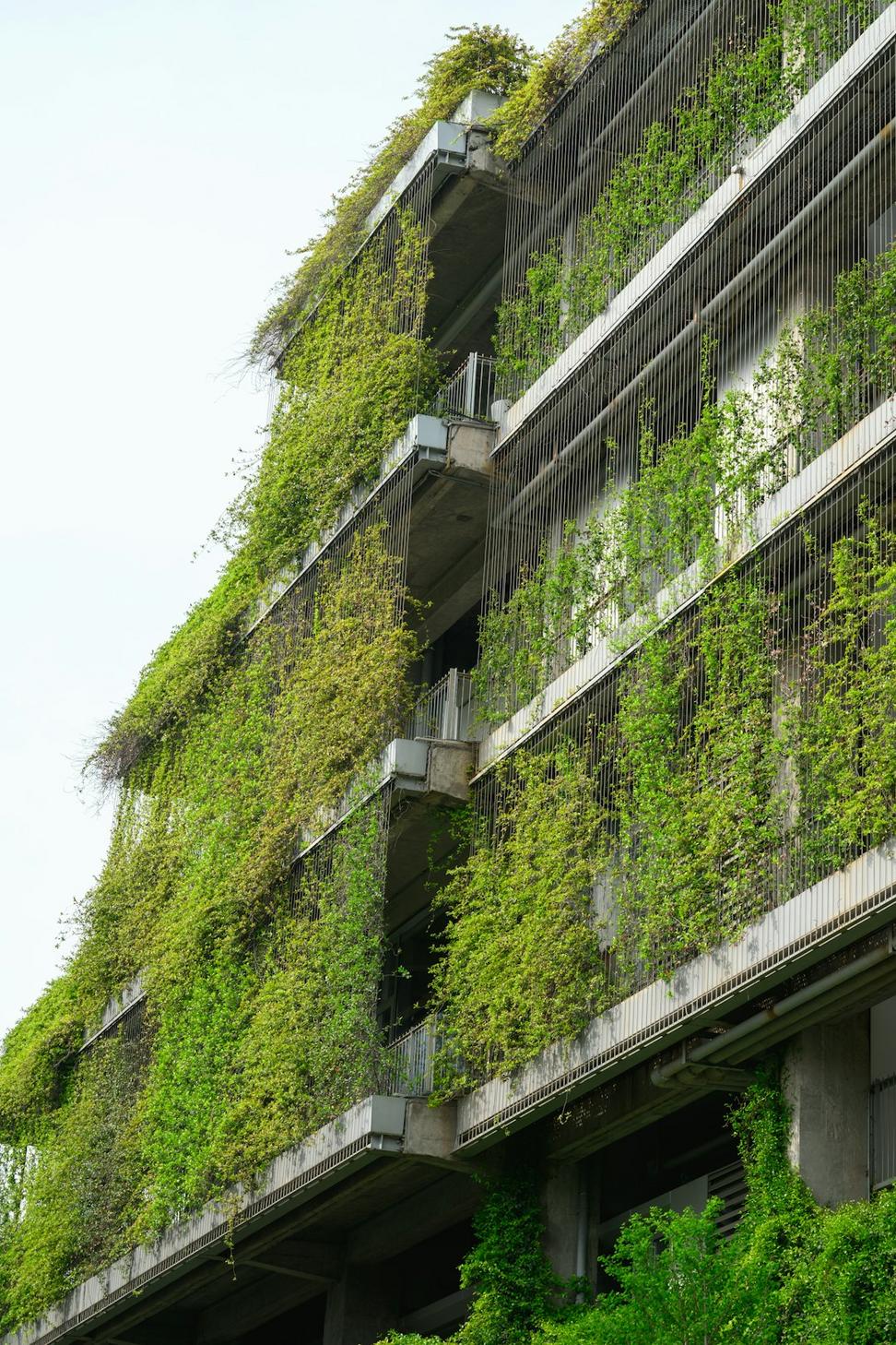 Sustainable Project